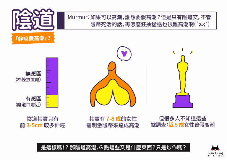 圖輯 陰道 子宮 卵巢 12 張圖搞懂女性內生殖系統 性別力gender Power 圖輯 陰道 子宮 卵巢 12 張圖搞懂女性內生殖系統 性別力gender Power