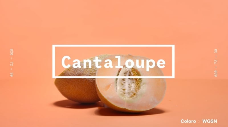 Cantaloupe哈密瓜橙色比起2019的年度色珊瑚色更柔和、活力。（WGSNxColoro）