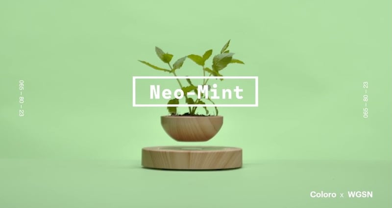 Neo Mint薄荷綠色在2020將會成爲年度顔色。（WGSNxColoro）