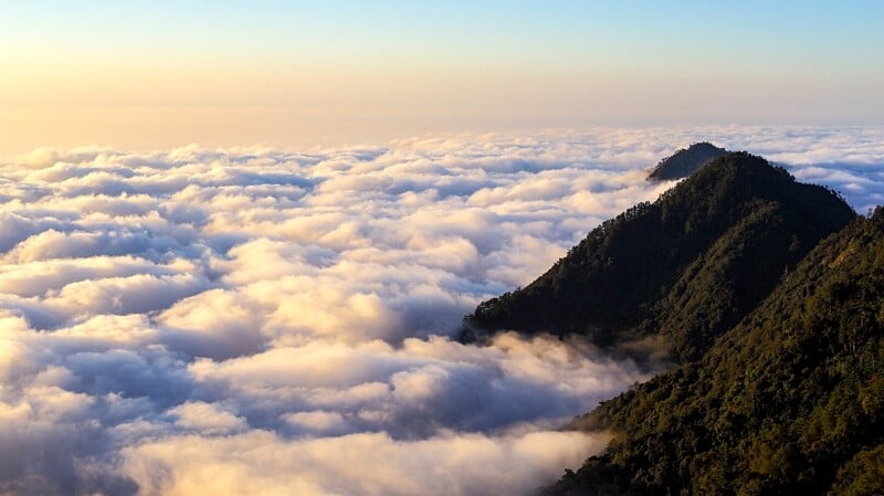 大雪山國家森林遊樂區雲海