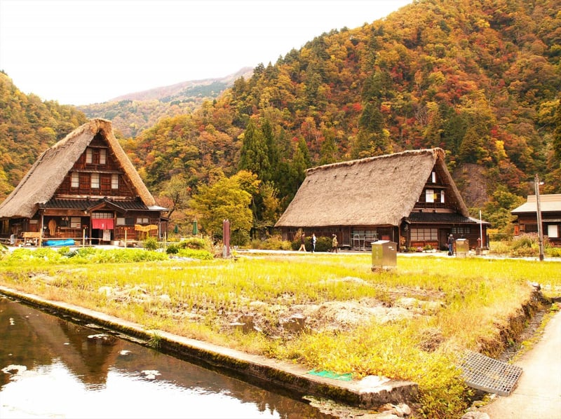  【名古屋巴士之旅】白川鄉合掌村、飛驒高山老街一日遊 