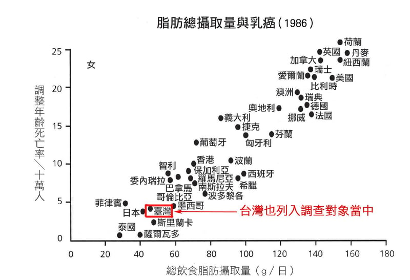 救命飲食 柿子文化出版 性感女神，切除乳房不是妳的唯一選擇！