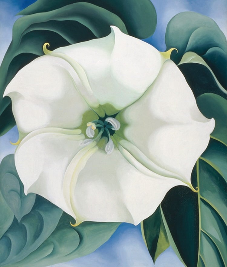 Georgia O'Keeffe O'Keeffe 歐姬芙作品 歐姬芙 歐姬芙故事 歐姬芙金句 現代藝術之母 美國藝術家 女性藝術家 女藝術家 花卉藝術