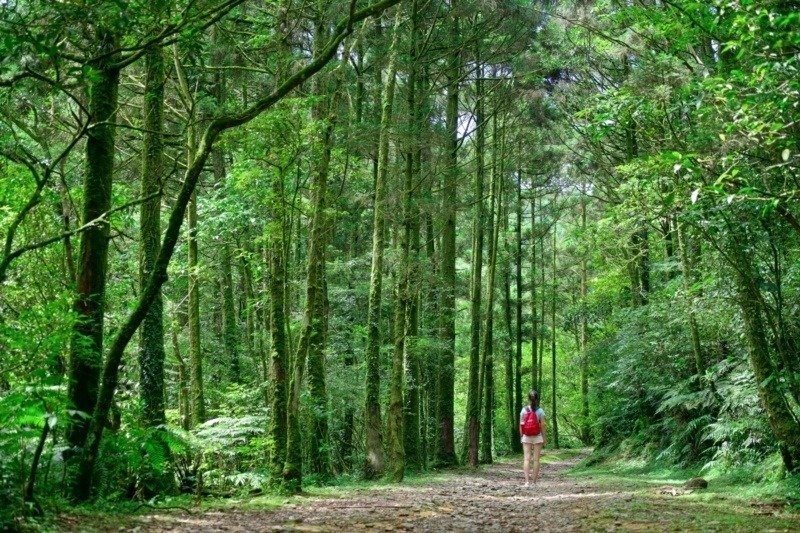 圖/新北市觀光旅遊局提供