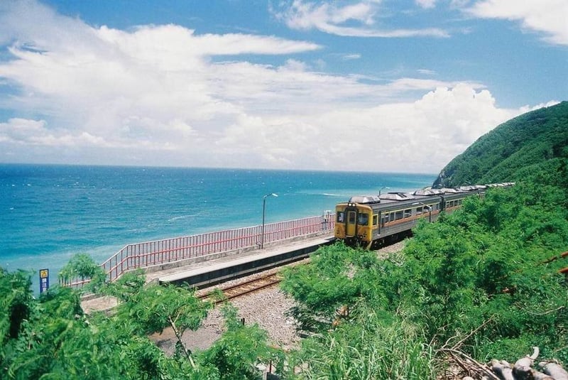 圖/讀者馬昌宏提供非報系