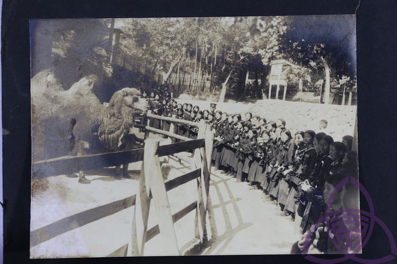 1914 年開園的圓山動物園，在日治時代是新潮的現代化景點，也是新春熱門出遊地，許多父母會在新年假期帶小孩動物園玩。圖為 1920 年代，二高女學生到動物園校外旅遊。圖片來源│臺南女中百年老照片