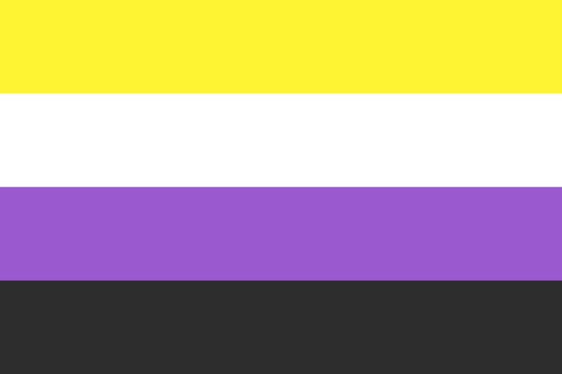 Non-binary pride flag, made up of four horizontal stripes, which are, from top to bottom, yellow, white, purple, and black.